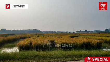 ਪੰਜਾਬ ਵਾਸੀ ਰੱਖਣ ਆਪਣਾ ਖਿਆਲ: ਸਿਹਤ ਵਿਭਾਗ ਨੇ ਜਾਰੀ ਕੀਤੀ ਐਡਵਾਈਜਰੀ, ਜਾਣੋ ਕਾਰਨ