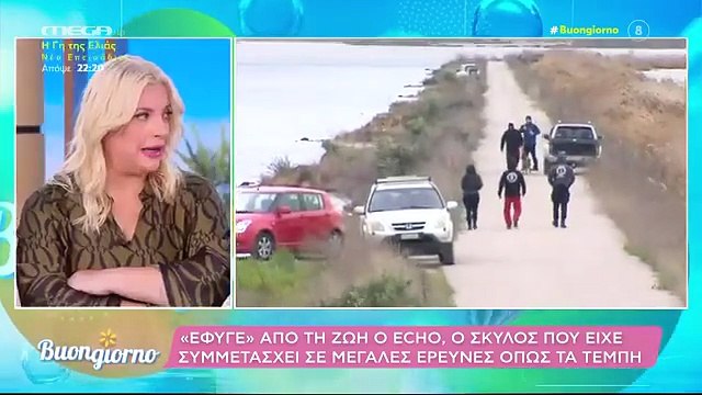 Έξω φρενών η Φαίη Σκορδά: «Ντροπή τους! Ντροπή σας!» - Τι συνέβη;