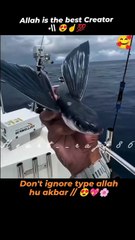 Allah is beast creator islamic video viral videos#viral#shorts