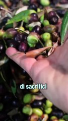 Conte  - Le nostre imprese radicate nel territorio (04.11.25)