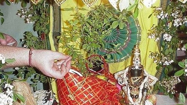 Kartik Purnima 2025 Tulsi Puja Vidhi: कार्तिक पूर्णिमा पर तुलसी पूजा कैसे करें, शुभ मुहूर्त |