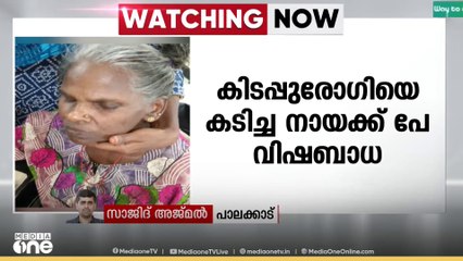 വടക്കഞ്ചേരിയിൽ കിടപ്പുരോഗിയായ വീട്ടമ്മയെ കടിച്ച തെരുവ് നായക്ക് പേ വിഷബാധ