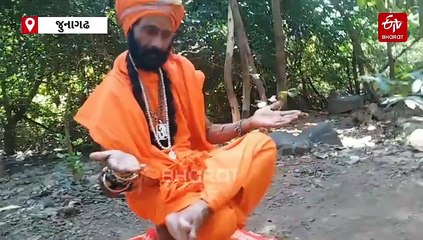 સ્વામી ઓમકારાનંદ સરસ્વતીનો અનોખો યોગ પ્રયોગ, હાથ અને પગની આંગળી પર કરે છે શરીરનું સંતુલન