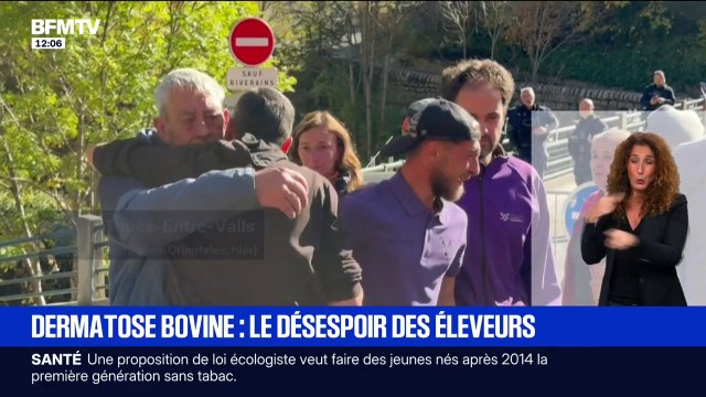 Dermatose bovine: le désespoir des éleveurs