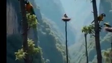 Birds_Among_the_Clouds_–_A_Majestic_Mountain_View(360p)