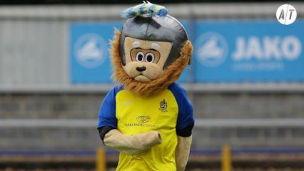 Expulsada la mascota de un equipo de fútbol por saltar al campo borracha