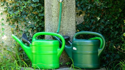 9 Tips for Watering Your Garden During a Drought