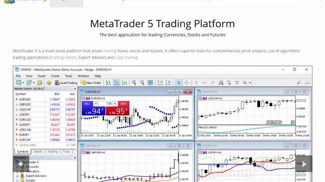 5 Trusted MT5 Brokers for South Africa 2025 - Top Forex Brokers List