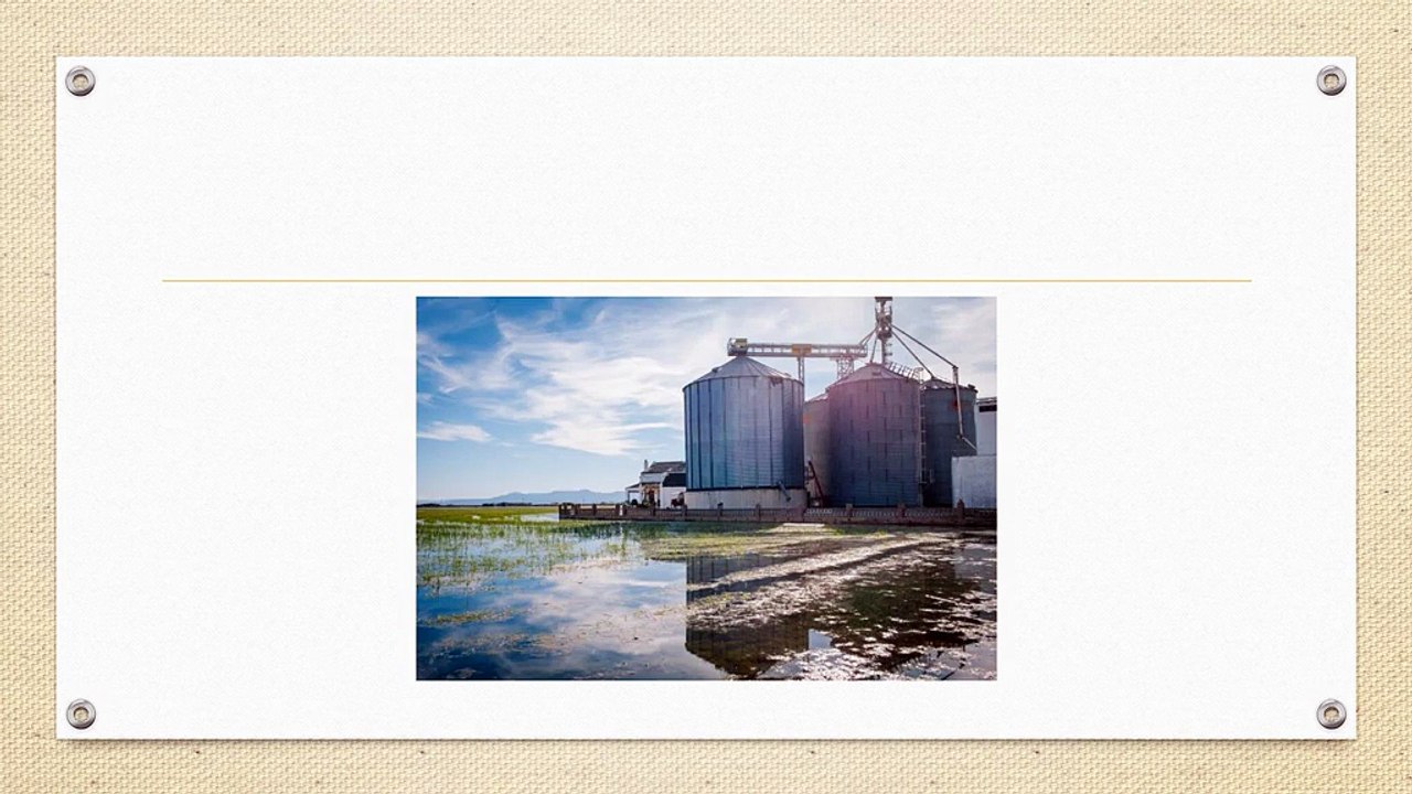 Best Grain Storage Silo Manufacturers in India for Modern Agriculture
