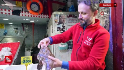 Tezgahlarda hamsi bolluğu vatandaşı gülümsetti