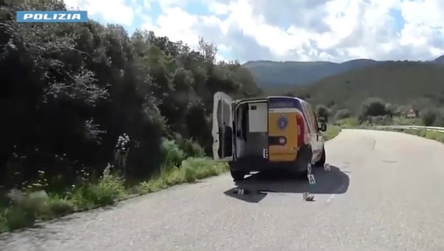 Assalti a portavalori, 6 arresti: banda aveva piani per nuovi colpi (04.11.25)