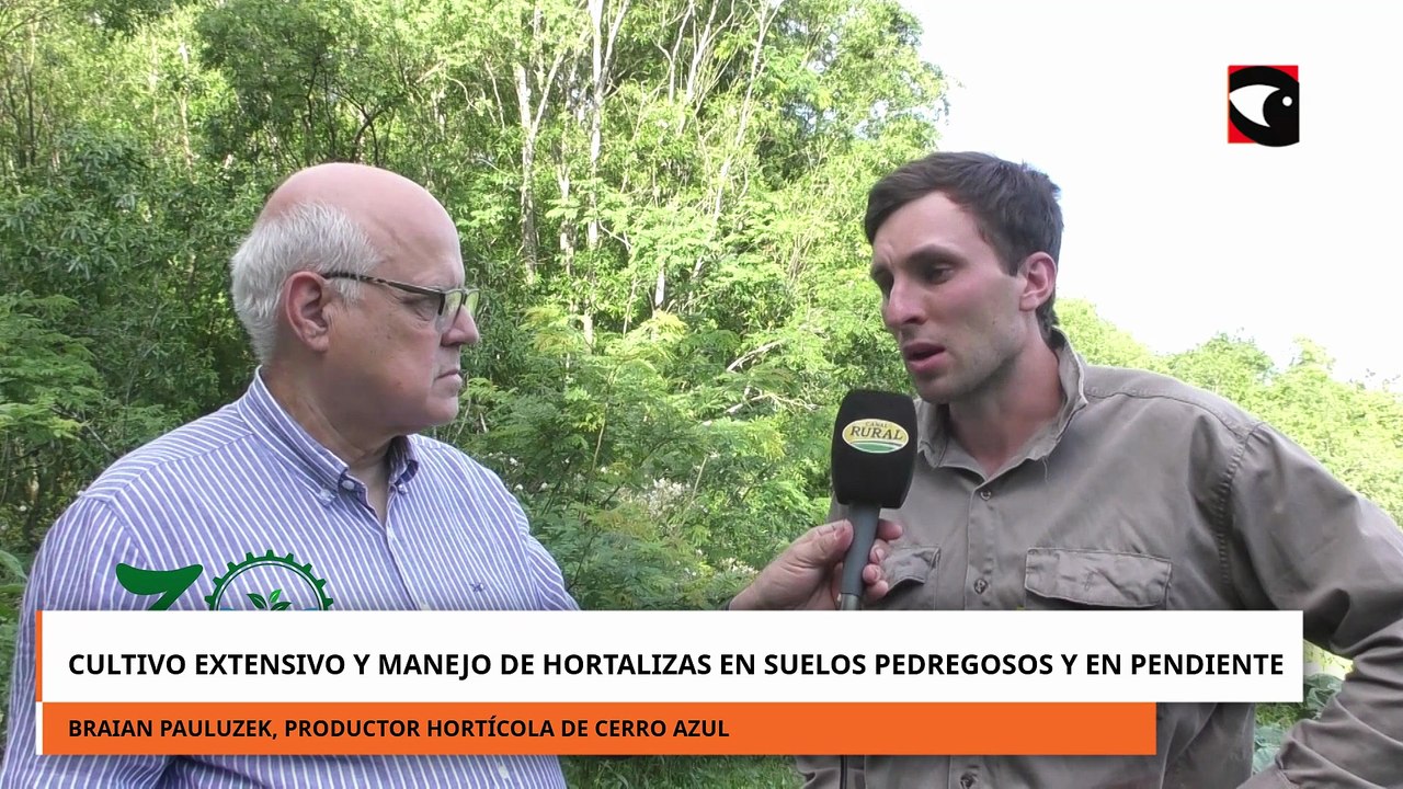 Cultivo extensivo y manejo de hortalizas en suelos pedregosos y en pendiente