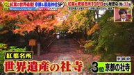 今夜はナゾトレ 2025年日11月4日 世界が感動！日本の秋学べる紅葉の絶景名所SP
