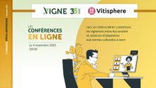 Face au dérèglement climatique, les vignerons entre éco-anxiété et solutions d'adaptation aux normes culturales à venir
