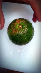 Fresh Green Lemon Cutting — Satisfying ASMR