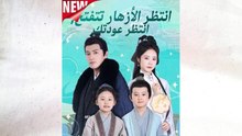 انتظر الأزهار تتفتح، انتظر عودتك