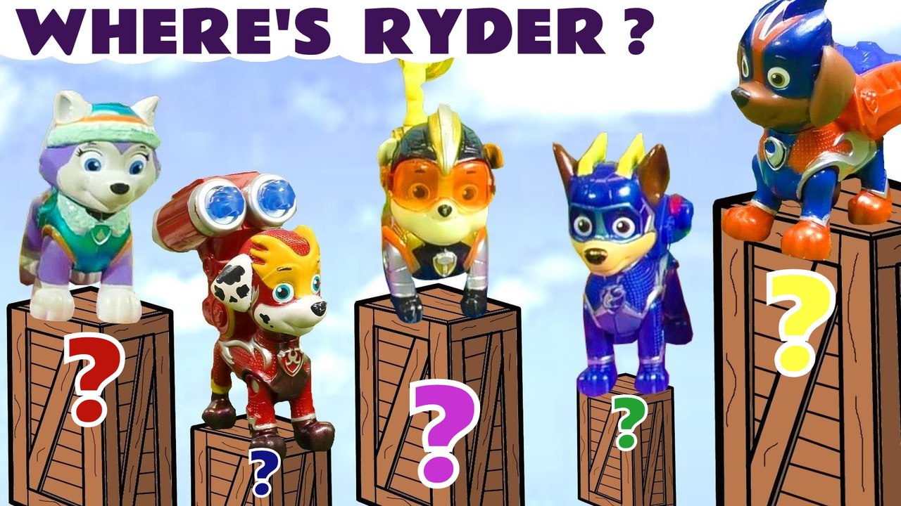 5 Little Mighty Pups Jumping On Their Beds Looking for Ryder