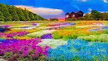 Colors full duniya