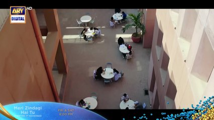 Meri Zindagi Hai Tu - Starting From 7th November - Friday To Saturday At 08 PM - ARY Digital {3}