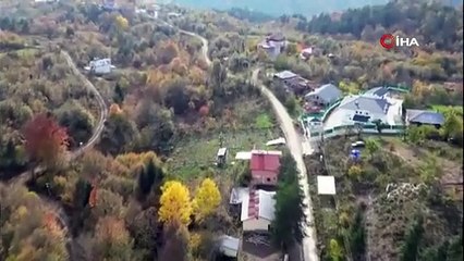 Oğluyla birlikte kaybolan kadının telefon sinyalinin alındığı bölgede arama çalışmaları sürüyor