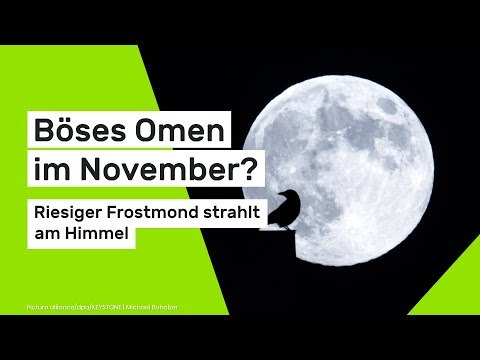 Vollmond am 05.11.2025: Böses Omen im November? Riesiger Frostmond strahlt am Himmel