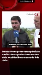 Inundaciones provocaron pérdidas casi totales a productores rurales de la localidad bonaerense de 9 de Julio.