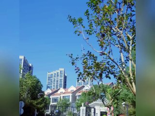 CEOs Son Calls Poor Girl Mom at First Sight, CEO Instantly Investigates Her Identity!Turns out...