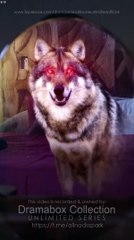 Fated To Miss The Luna Dreams In His Dreams