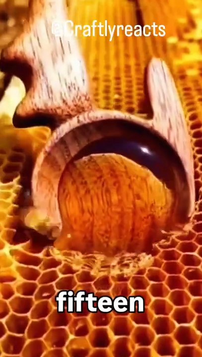 Turn nature’s gift into a business 🍯 Start your own honey harvesting business with low investment and high profits. Eco-friendly, in-demand, and perfect for rural or home-based setups. Would you try this idea? 👇 Follow Craf Reacts | DIY videos | crafts