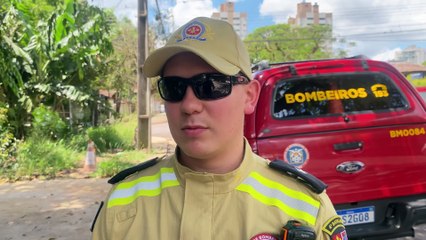 Oficial do Corpo de Bombeiros dá detalhes de acidente em que motociclista bateu em árvore