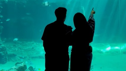 Est-ce devenu « gênant » d’avoir un mec ? Cette théorie qui enflamme les réseaux sociaux