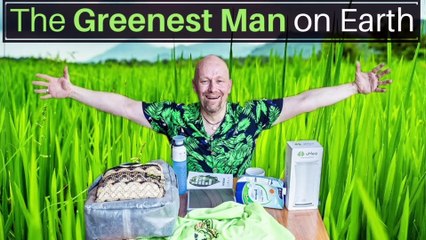 The green nest man