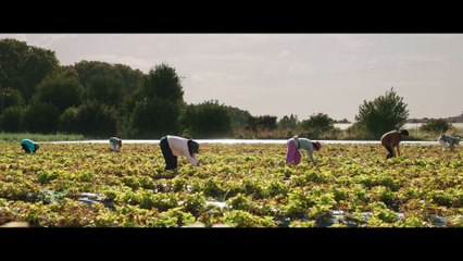 Tráiler "La tierra de Amira" con Mina El Hammani. Estreno en cines el 5 de diciembre.