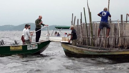 Prince William meets communities protecting Brazilian waters