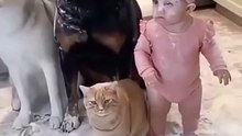 The dog is saying, ‘It was her