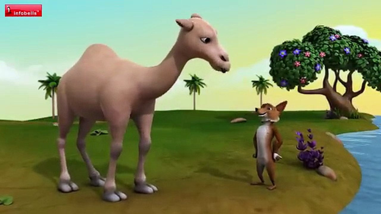 Camel