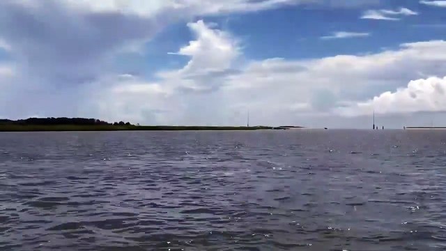 Ce dauphin fait le show pour des touristes... sauts impressionnants