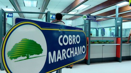 tn7-detecto-un-error-en-marchamo-le-explicamos-como-reclamarlo-041025