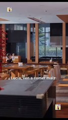 Volver A Casarse Completo