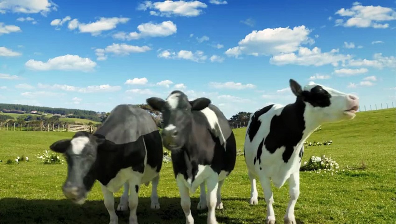 y2mate.video_720p-vinamilk-freshmilk-2013