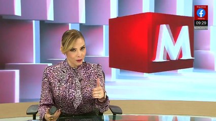 Comienza la migración de mariposas monarca rumbo a los bosques de México