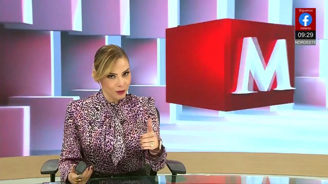 Comienza la migración de mariposas monarca rumbo a los bosques de México