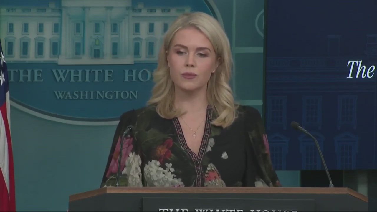 NYC Mayoral Race Tension: Mamdani Claims Voter Intimidation, Leavitt Pushes Back