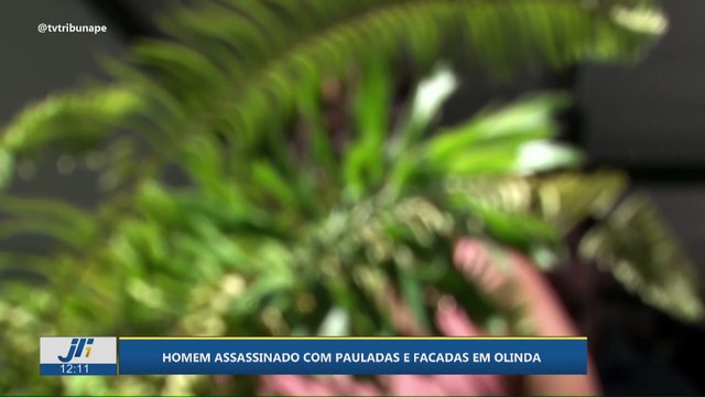 Homem assassinado com pauladas e facadas em Olinda