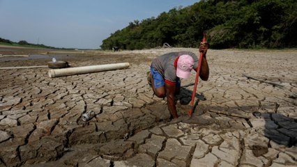 Amazonie : la vie des communautés bouleversée par le réchauffement