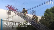Bomberos heroicos en Tijuana, salvan vidas humanas y gatitos tras incendio en edificio