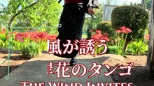 彼岸花、情熱のタンゴ 🌺 / Tango of the Red Spider Lily — Dance of Passion / Tango des lys araignées rouges — Danse de la passion