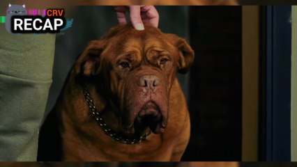 TWO BROTHERS Discover the UNTHINKABLE: The Devil Is About to BE BORN 😱 | When Evil Lurks