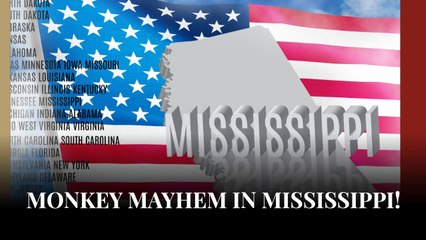 Mississippi Mother Explains Her Decision To Eliminate Escaped Monkey