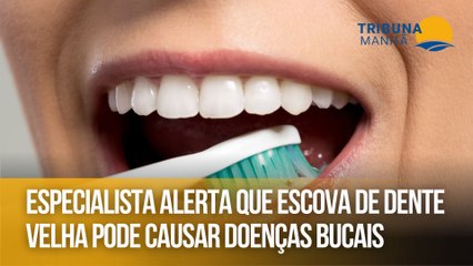 Especialista alerta que escova de dente velha pode causar doenças bucais
